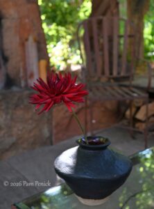 Secret Santa Fe courtyard garden and backyard for entertaining