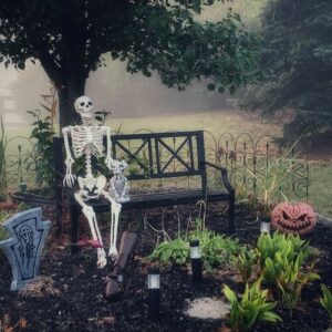Halloween in the Garden: 3 Spooky and Creative Displays