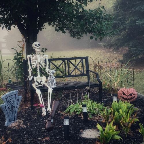 Halloween in the Garden: 3 Spooky and Creative Displays