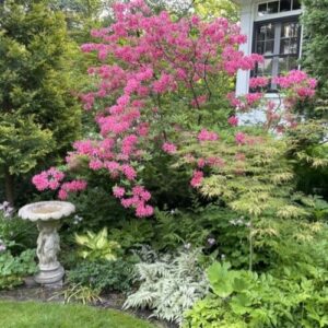 Susan’s Minnesota Garden, Part 2: Spring and Summer