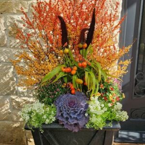 More Fall Color and Container Inspiration