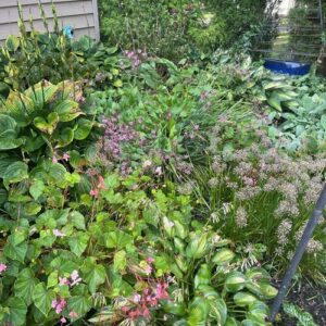 Rhonda’s Fall Garden in West Grove, Pennsylvania