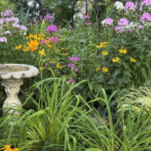 Late Summer Through Fall in Susan’s Minnesota Garden, Part 1