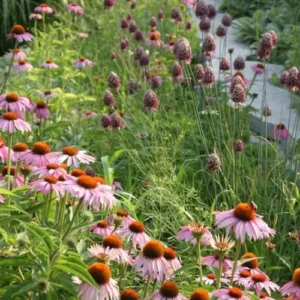 The Next 10 Garden Photos of the Day
