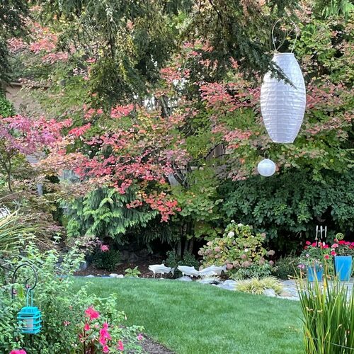 October in Lila’s Washington Garden