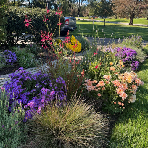 A Front Garden Designed for Fall Color